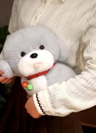 Плюшеве цуценя м'яка іграшка dog bunny 25 см колір в асортименті