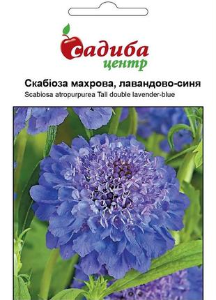 Насіння скабіози махрової лавандово-синя 0,2 г, нім zaden