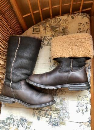 Чоботи ugg australia (оригінал)