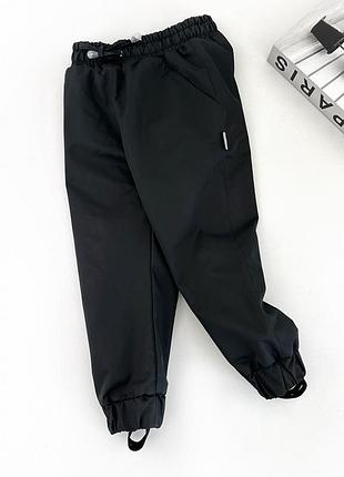 Брюки деми (мембрана на микрофлисе)