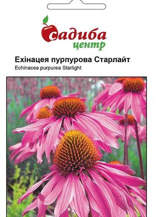 Насіння ехінацеї пурпурової старлайт 0,1 г, нім zaden