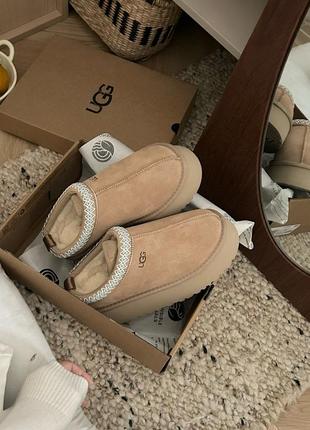 Угг таз в кольорах