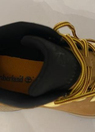 Timberland 5