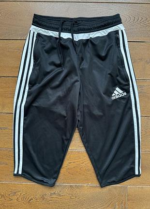 Бріджи adidas adizero climacoo