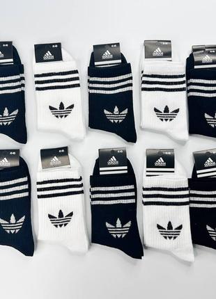 Мужские женские очки adidas