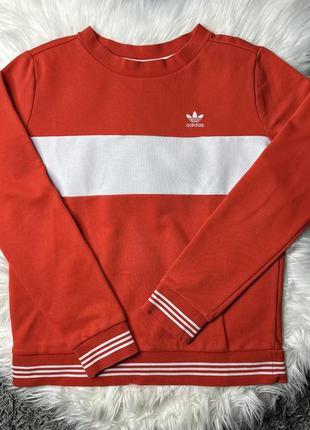 Світшот adidas