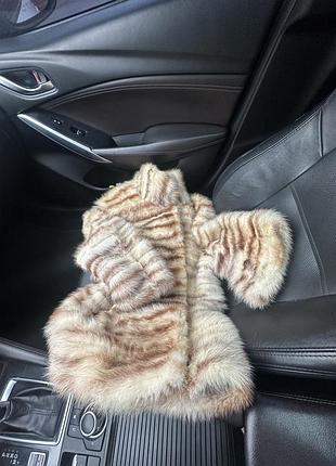 Шуба норкова