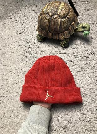 Шапка arena nike jordan