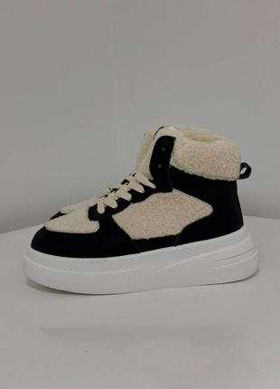 Кеди