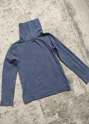 Гольф водолазка