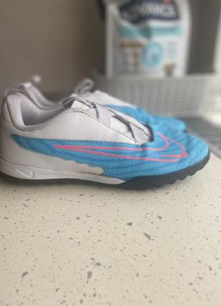 Сороконіжки