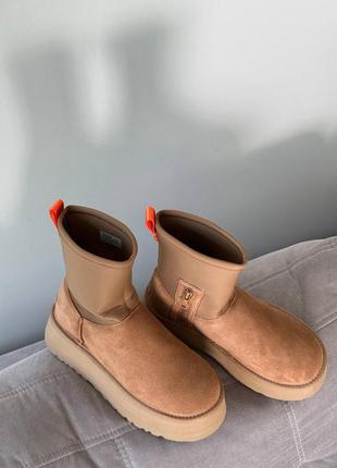 Уги угі угги уггі ugg ugg knit cuff leather gloves ladies chestnut (premium)