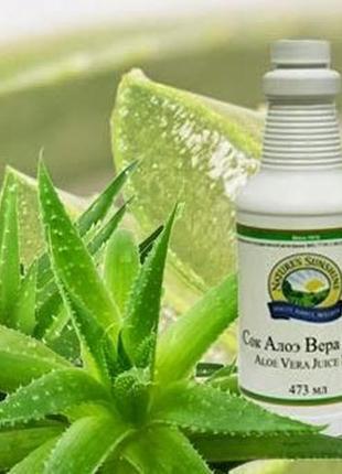 Гель алоэ вера