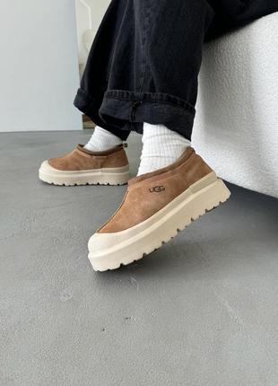 Угги угги угги ugg tasman hybrid chestnut/beige