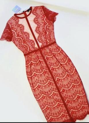 Сукня  кружевна misguided3 фото
