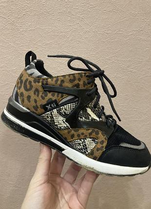 Кроссовки, кроссовки, xti