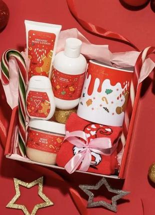 Новогодний набор nanibeauty