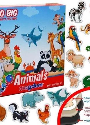 Набор магнитов "животные", магниты на холодильник детские, детские магниты