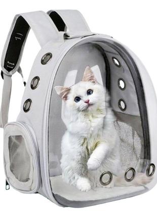 Прозрачный рюкзак для переноски животных pet cat для кошек и собак grey