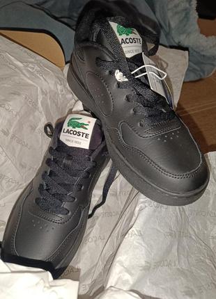 Кеди lacoste