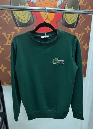 Чоловічий світшот lacoste