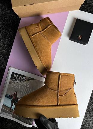 Женские угги ugg classic mini platform cinnamon fur