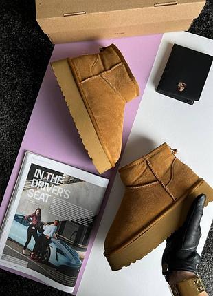 Жіночі уггі ugg classic ultra mini platform cinnamon fur