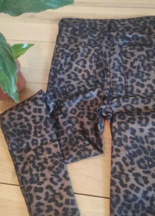 Леопардовые джинсы skinny от next