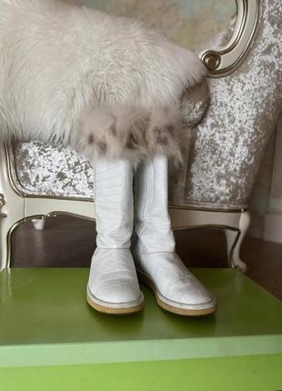 Ugg крокодилья шкіра