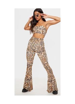 Актуальні леопардові штани кльош, стильні, модні, лосіни, легінси