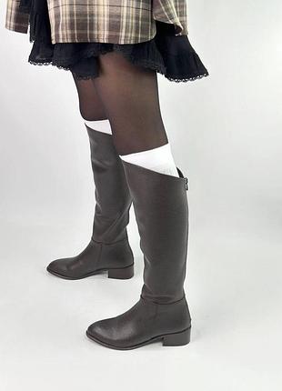 Чоботи демі з флісом шкіряні коричневі шоколад жіночі весна осінь