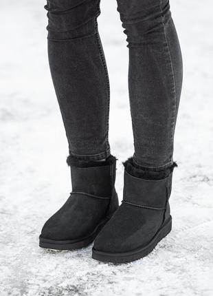 Замшевые угги Careena ugg classic mini zip6 фото