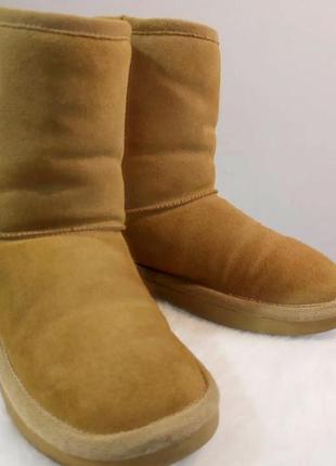 Черевики  на хутрі ,сапоги ugg, угги