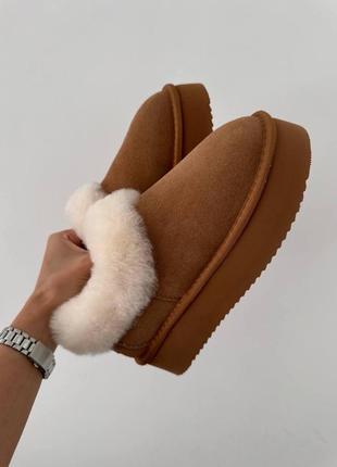 Женские угги ugg slippers platform ginger зима v / smb8 фото