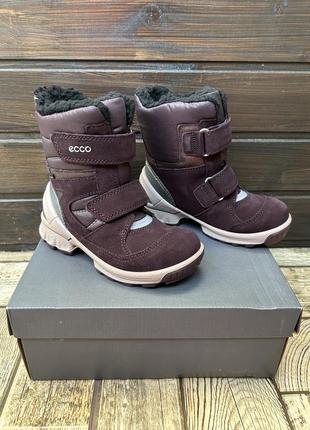 Черевики зимові ecco biom hike gore-tex 27