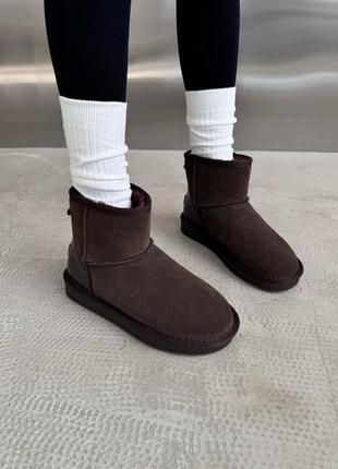 Женские угги ugg mini dark chocolate lacquer зима <unk> smb5 фото