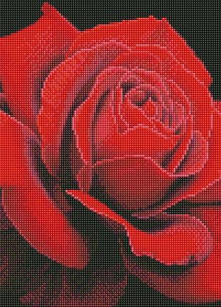 Діамантова мозаїка червона троянда ©annasteshka, 40х40см