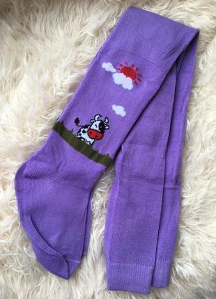 Колготки колготи дитячі фіолетові з малюнком корівкою коровами для дівчинки хлопчика дівчаток хлопчиків
