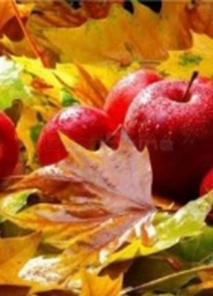 Алмазная вышивка. картина на подрамнике  осенние дары, размер 30х40см