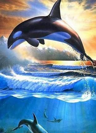 Алмазна вишивка. картина на підрамнику наші друзі дельфіни, розмір 20х30 см