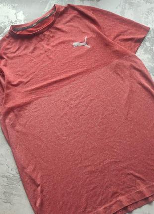 Спортивна футболка puma evoknit