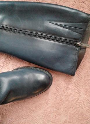 Високі зимові  жіночі чоботи tj collection