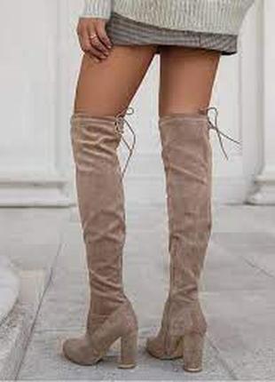 Замшевые осенние ботфорды