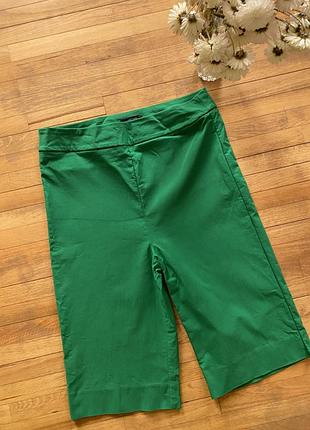 Яскраві бриджі papaya