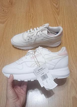 Кросівки reebok classic leather sp