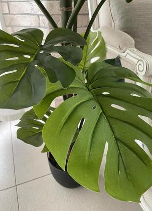 Монстера штучна у горщику 115 см