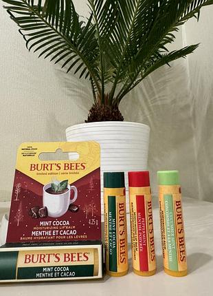 Натуральні бальзами для губ burts bees