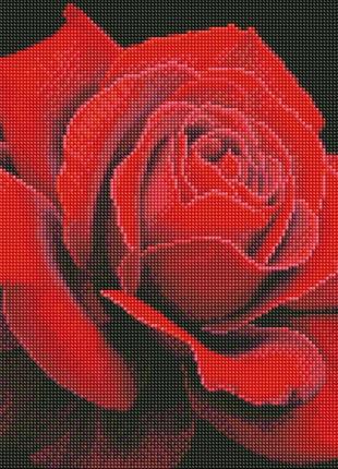 Діамантова мозаїка червона троянда ©annasteshka, 40х40см