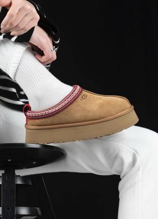 Уггі  ugg Сапоги tasman platform premium