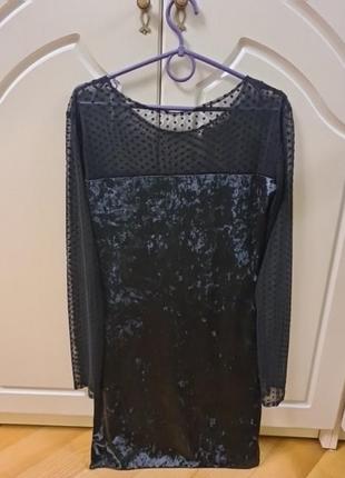 Сухня бархат